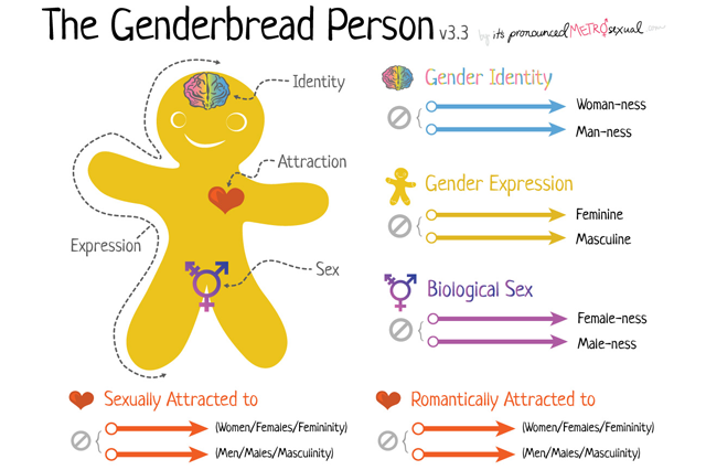 Genderbread Sexuality Gender Identity Counselling